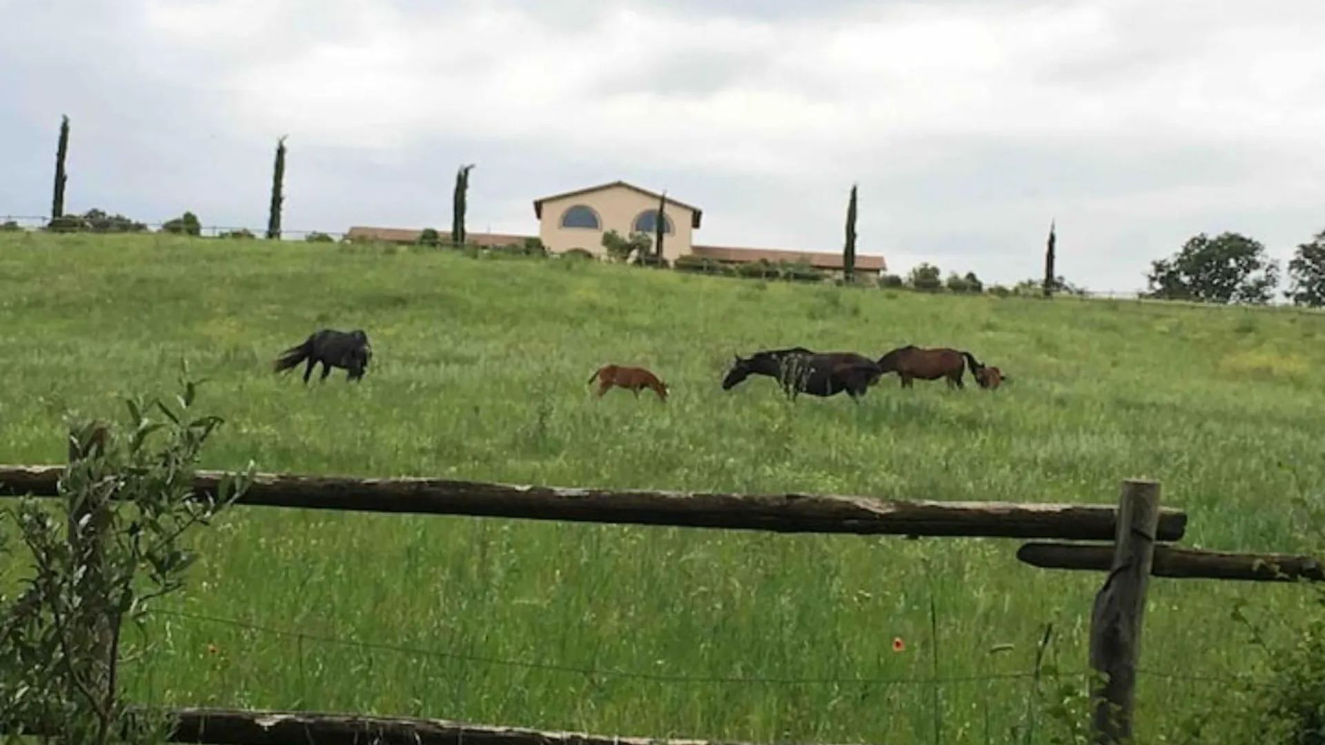 Albergo Pietriccio Rosso Manciano Farm stay